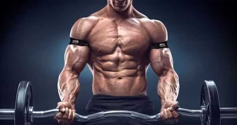 politica-de-privacidade-melhor-whey-protein-para-idoso-ganho-de-massa-muscular-custo-beneficio-isolado-concentrado-engordar-barato